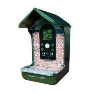 Numaxes Bird Feeder Wildlife Camera