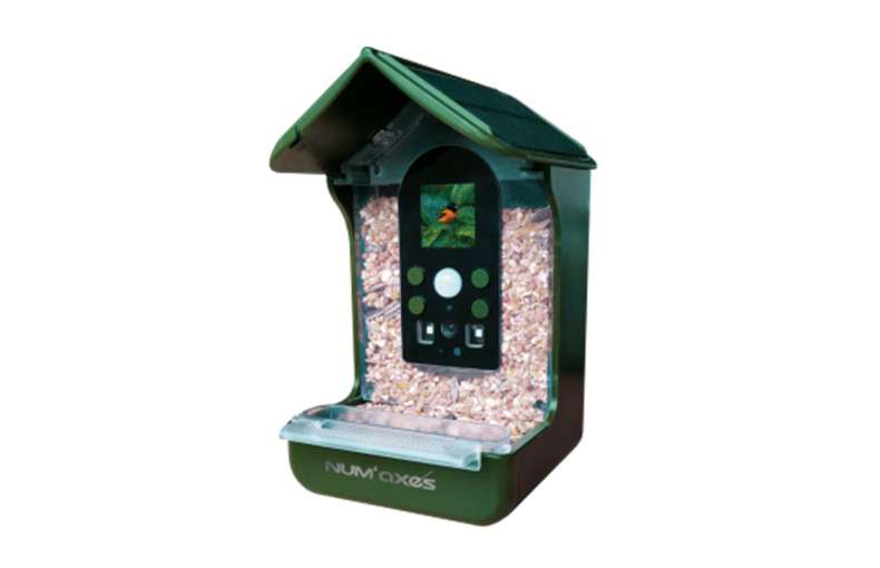 Numaxes Bird Feeder Wildlife Camera