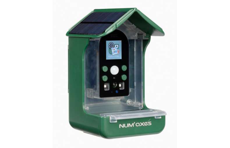 Numaxes Bird Feeder Wildlife Camera