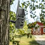 Spypoint Flex S Cellular Trail Camera System