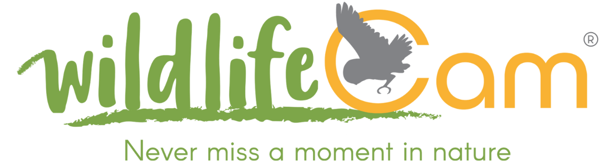 WildlifeCam