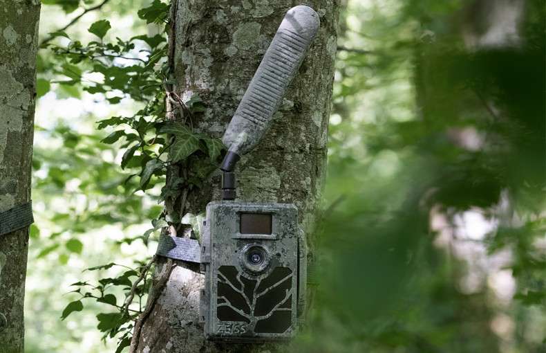 Zeiss Secacam 5 Cellular Wildlife Camera