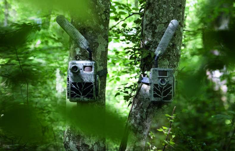 Zeiss Secacam 5 Cellular Wildlife Camera