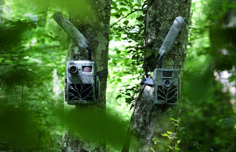 Zeiss Secacam 5 Cellular Wildlife Camera